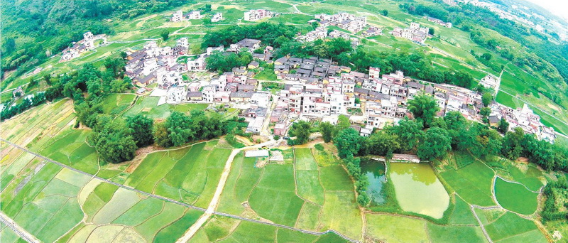 陽山縣太平鎮(zhèn)白花村中心小組,村中整合前的土地分布零散,由原來的78塊田整合成33塊田。