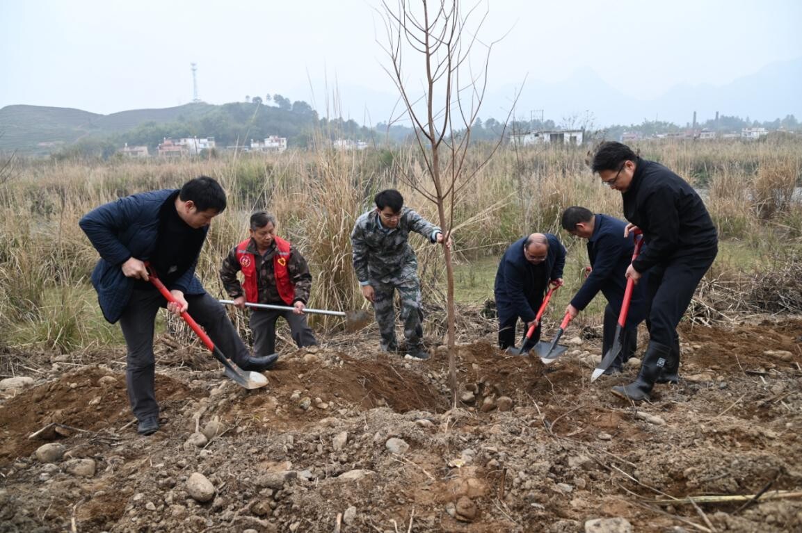 兵“林”城下 退役軍人走在綠美清遠(yuǎn)生態(tài)建設(shè)“第一方陣”，萬株新苗筑牢粵北生態(tài)屏障