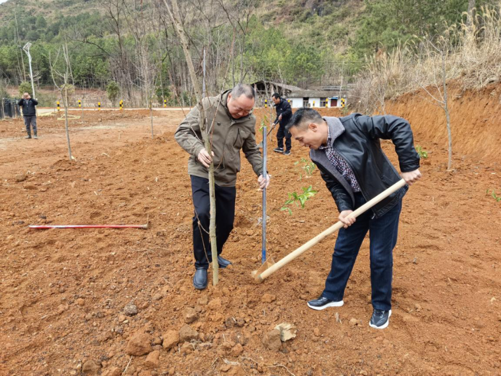 市住房城鄉(xiāng)建設(shè)局赴九陂鎮(zhèn)開展鄉(xiāng)村綠化主題植樹活動(dòng)