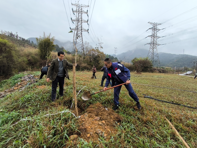 春雨初歇齊植樹 攜手共繪新畫卷
